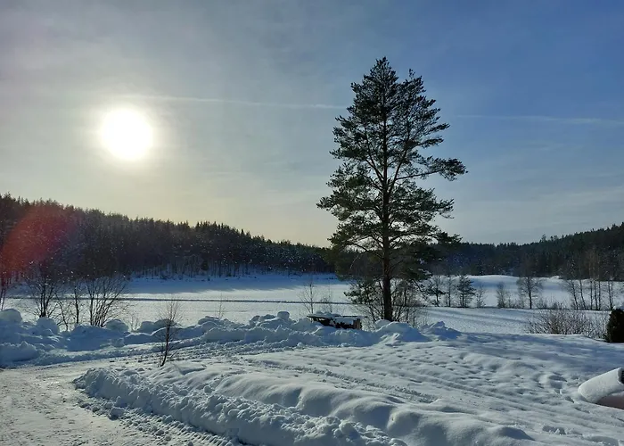 Feriehus 